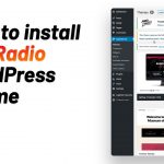 how to install the pro.radio wordpress theme