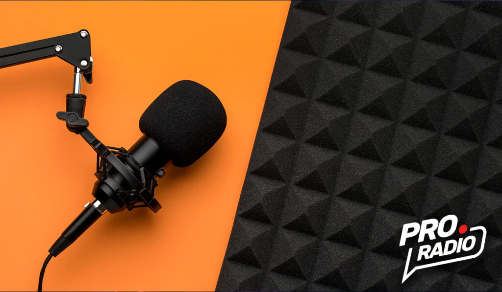 Which are the 4 best microphones for small radio stations?