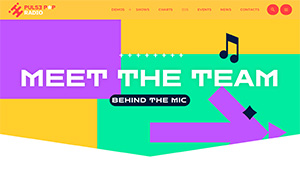 Demo 18 – Pulse Pop Radio – A vibrant radio website template [Radio WordPress Theme demo] Team