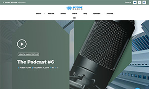Demo 25 – Skytune Radio – Versatile Radio Station Website [Radio WordPress Theme demo] Single Podcast