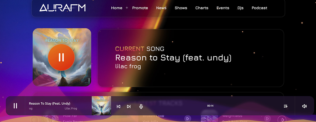 Pro Radio 9.4 player with custom audio visualizer